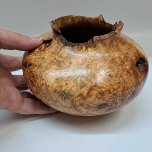 Click to view detail for JW-251 Colorado Aspen Burl Hollow Woodturning $225